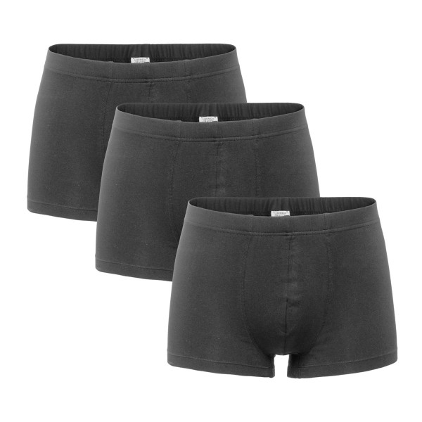 Herren Pants 3er Pack GOTS