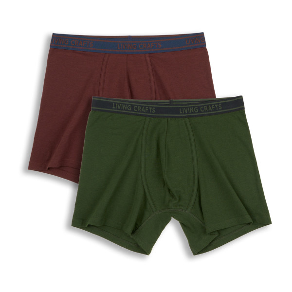 Herren Shorts Pants 2er Pack GOTS Bridger