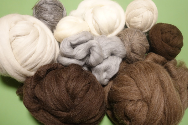 Kardierte Schafwolle im Band Filzwolle Bastelwolle